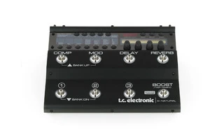 TC Electronic G-Natural 